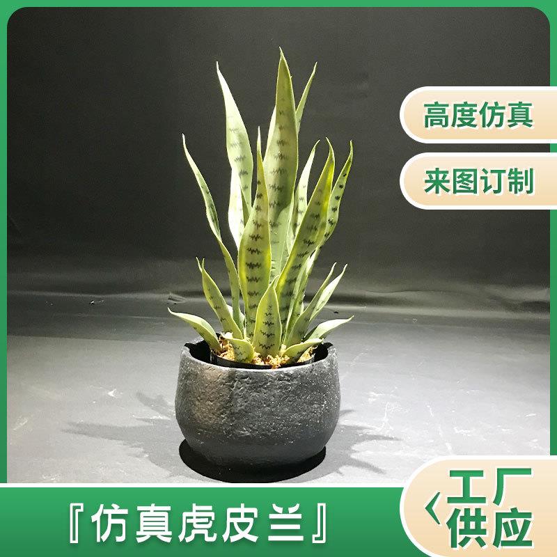 人造植物仿虎皮兰绿植盆栽 办公室酒店景观假榕树摆件盆栽