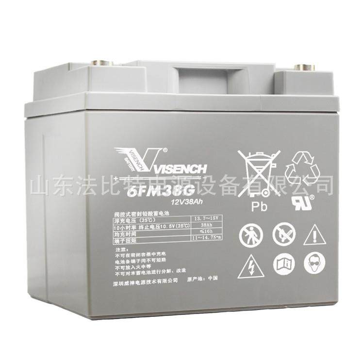 威神铅酸蓄电池6FM38G三瑞12V38Ah直流屏EPS 量大从优 VISION