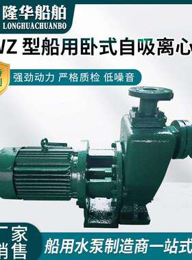 CWZ船用卧式自吸离心泵管道泵不锈钢泵水泵离心增压泵耐腐蚀耐用