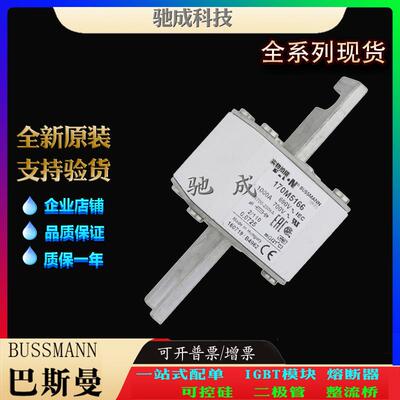 巴斯曼170M5174 170M5175 170M5176 现货供应厂价直供 高速熔断器