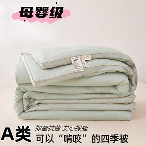 Aa母婴级提花大豆纤维四季被芯家用双人春秋被冬被宿舍棉被芯