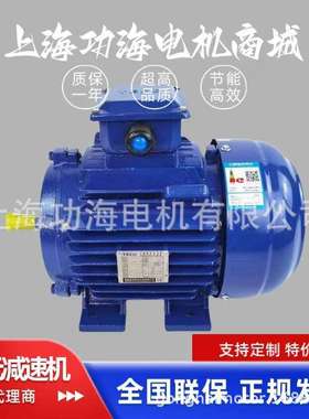 TECO东元电机马达TEV3系列GB3/IE3能效AEEV3N040010YWE--大功率