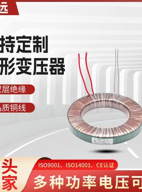 厂家直供环型变压器铜线制作环牛双绕组多绕组10W100W500W1200W50