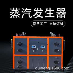 贵恒1.0T生物质颗粒蒸汽发生器灭菌解冻配套使用设备蒸汽热能机