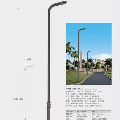 皇广景观路灯腾达 A-商业街公园道路出口品质厂家带安装