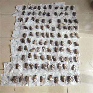 德国staubli冷媒加注头插头181506史陶比尔