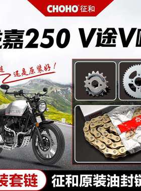 龙嘉V途/V咖LJ250-2V-3V-6V-7V原厂大小链轮牙盘征和油封链条套链