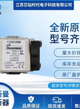 170M3561 170M3562 170M3563 巴斯曼BUSSMANN熔断器保险丝