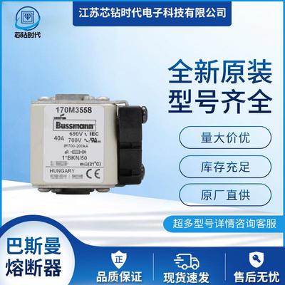 170M3561 170M3562 170M3563 巴斯曼BUSSMANN熔断器保险丝