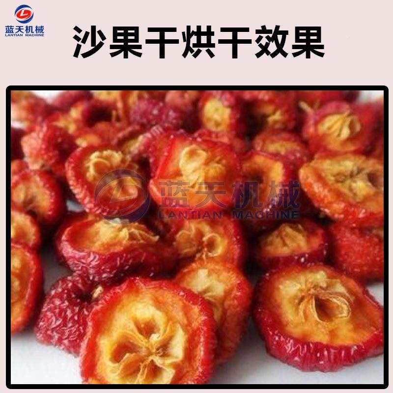 蓝天空气能沙果干烘干机沙LT-SGJ果片干燥机水脱花烘红果脯苹果干