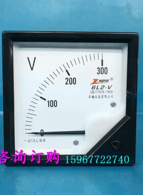 VV交流电50156式0 075 压表V102机械表 -VV指针V磁  励30L30