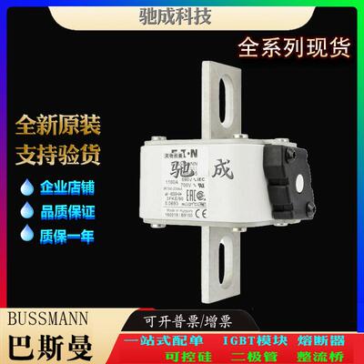 巴斯曼170M6666 170M6667 170M6668 厂家原装优价供应 快熔保险丝