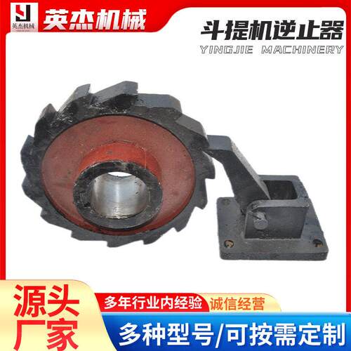NE斗式提升机棘轮垂直上料机逆止器防逆转齿轮制动器链轮保护装置