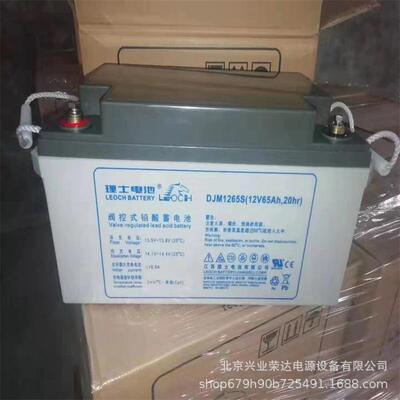 LEOCH理士电池DJM1265S理士铅酸蓄电池12V65AH楼宇应急逃生照明