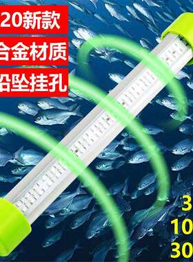 2021年新款跨境300W大功率铝合金DC12V绿白蓝黄色LED集鱼灯