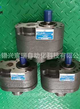 低压齿轮油泵CB-B16F CB-B20F CB-B25F CB-B32F CB-B40F CB-B50F