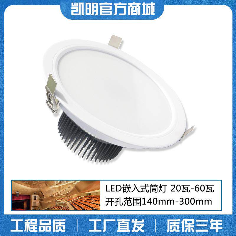 小功率天花灯40w 铝扣板天花筒灯 正白光筒射灯