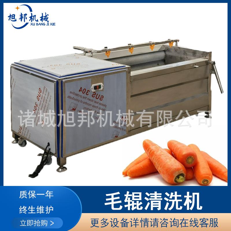 牛蒡毛辊清洗机 洋葱剥皮清洗设备 土豆多功能毛刷清洗磨皮设备