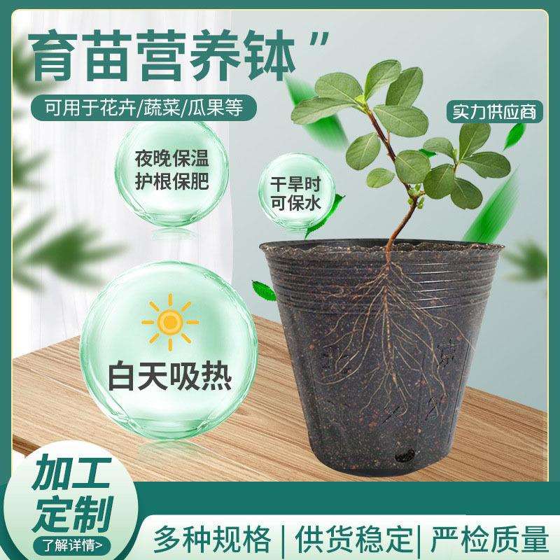 塑料营养杯育苗杯 家庭植物营养杯黑色加厚园艺花卉营养钵
