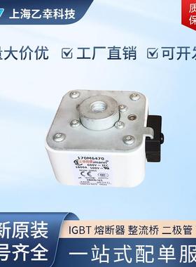 巴斯曼熔断器 170M6482 170M6483 170M6484 170M6485 170M6486