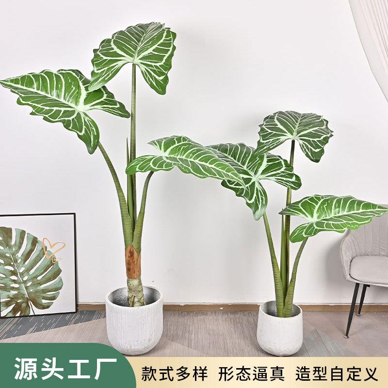 仿真绿植大叶帝王花烛卧室客厅橱窗大型落地盆栽装饰摆件假植物