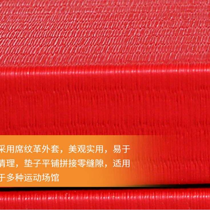 比赛专用柔道垫子摔跤训练垫榻榻米武术散打搏击专用垫空翻体操垫
