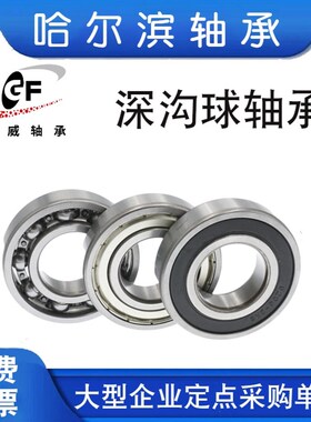 哈尔滨轴承HRB6200 6201 6202 6203 62046205 6206 6207ZZ RZ电机