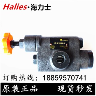 L10C 液压管式 L10H4 L10H2 L10H3 L10H1 溢流阀YF