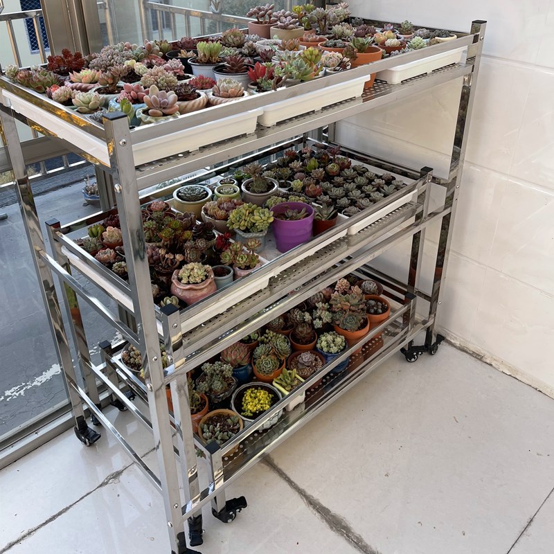 不锈钢花架带雨棚多肉可移动带轮花架遮雨户外遮阳多层架阳台专用