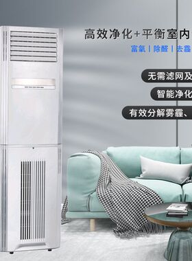 商用杀菌除味柜式净化设备除异味甲醛光氢离子空气净化消毒机