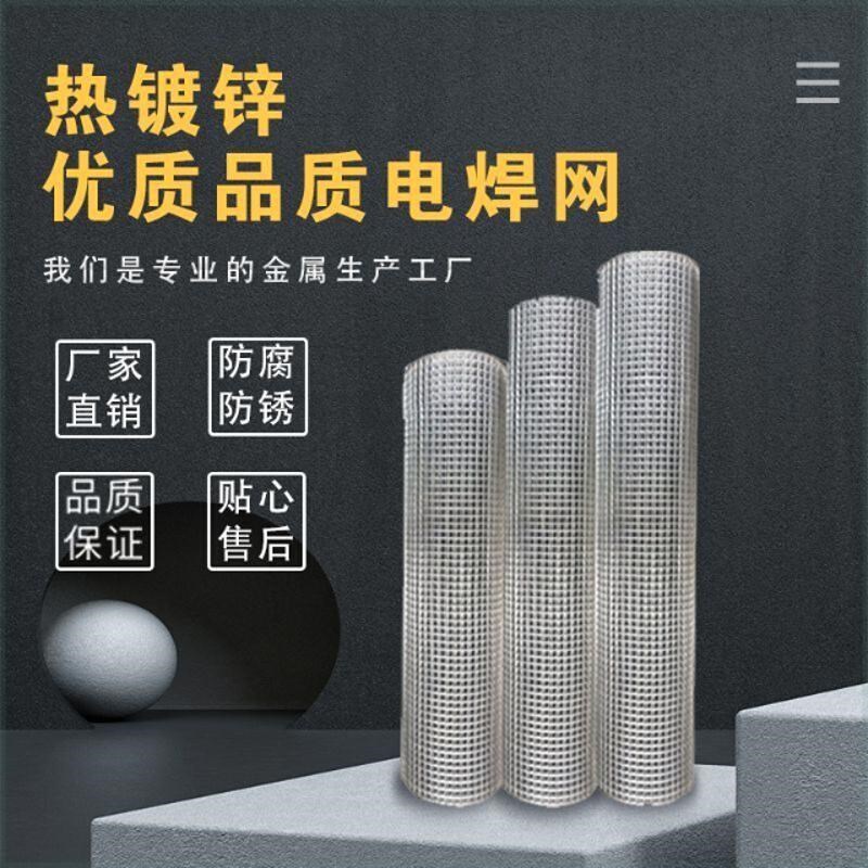 热镀锌铁丝网围栏钢丝铁网养殖养鸡网片格网防护栅栏鸽笼户外家用