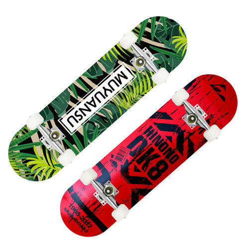 初学者双龙板(四轮)成人80cm刷街