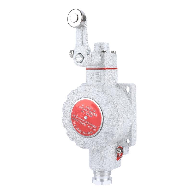 防爆行程开关DLXK防爆限位开关LX5--Z型L型B型D型H型N型防爆开关