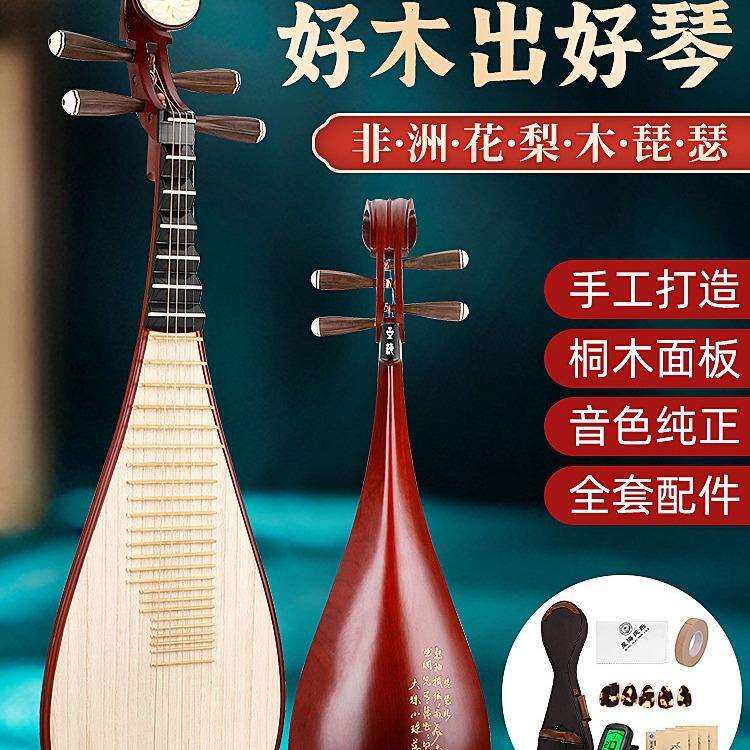 北京星海8912-3琵琶 专业演奏花开富贵花梨木琵琶 初学者入门琵琶