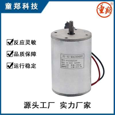 齿轮泵电机微型直流电机24V/110V/220V铜线机芯马达小型动力电机