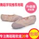猫爪舞蹈鞋 儿童芭蕾舞鞋 软底女式 跳舞瑜伽鞋 两底练功鞋 男士 包邮