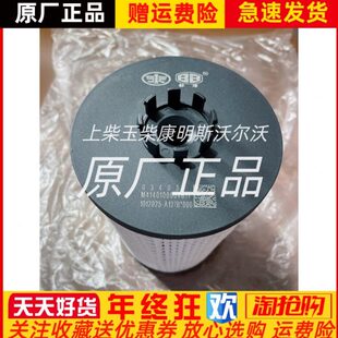 1012010 A12 一汽解放大柴道依茨发动机长效滤芯1012025