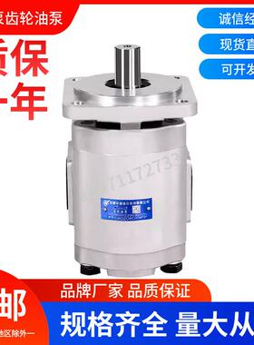 合肥长源液压齿轮油泵CBG2063-BFP/L 液压泵CBG2080-BFH 高压油泵