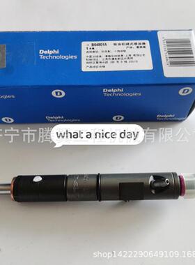 适用卡特318D2挖掘机C4.4喷油器总成 2645K025 315-3381 济宁腾翼