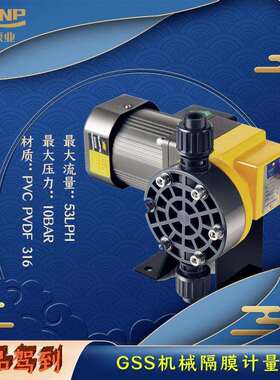 慧昇泵业 GSS系列机械隔膜 计量泵 投加 316 25W PAC/PAM
