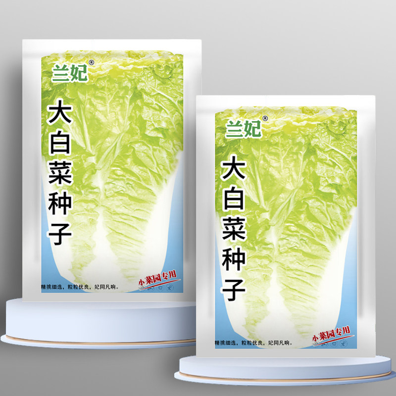 大白菜种子叶多多山东白菜籽冬季四季播大白菜抗病高产蔬菜白菜子