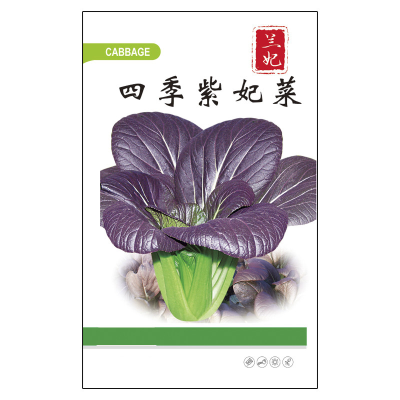 兰妃蔬菜种子紫色上海青种子