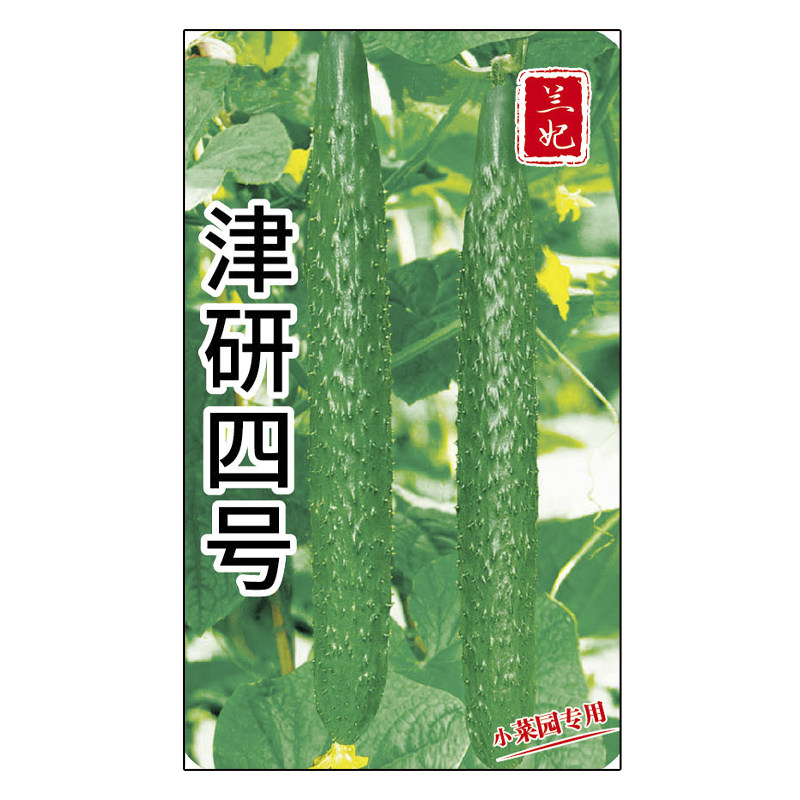 兰妃黄瓜种子津研四号刺黄瓜种子