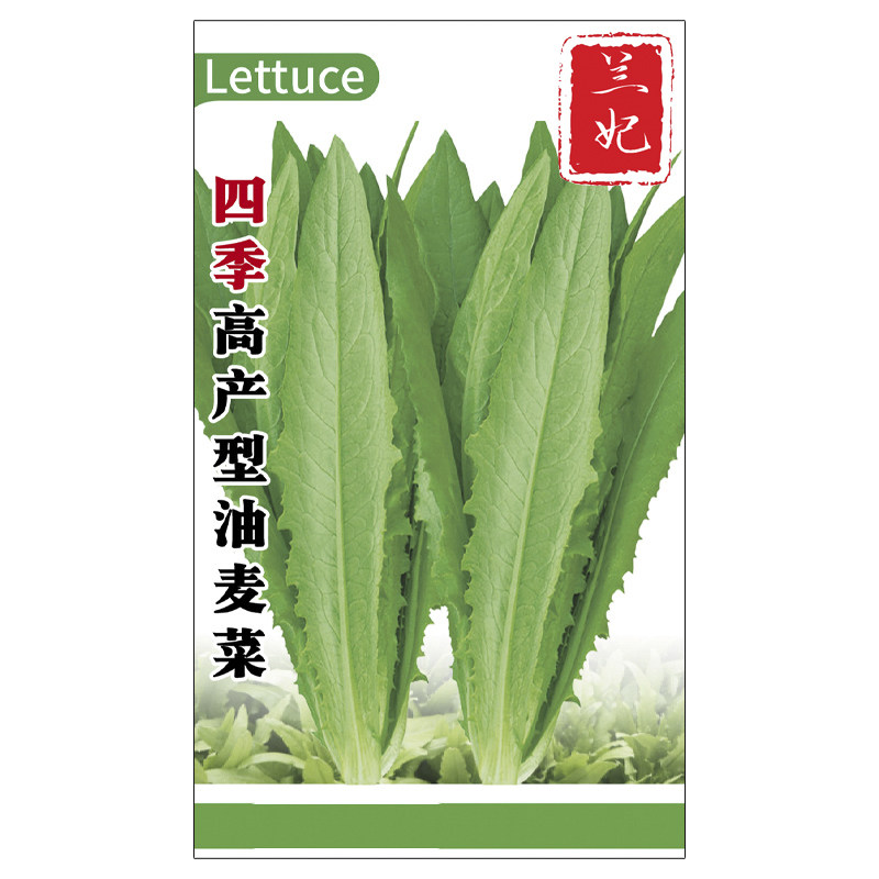 兰妃蔬菜种子油麦菜种子