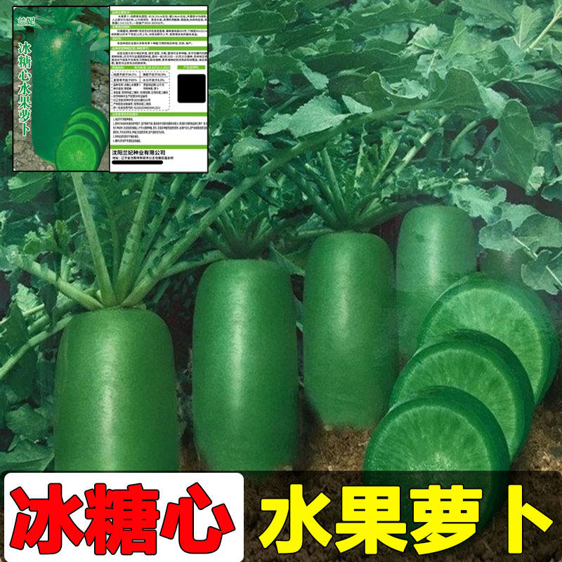 兰妃蔬菜种子冰糖心水果萝卜种子