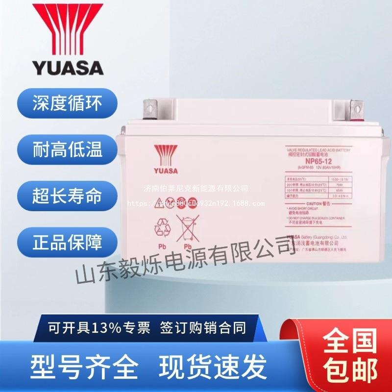 汤浅蓄电池NP100-12 12V100AH UPS电源直流屏65/38/24/120/150/20