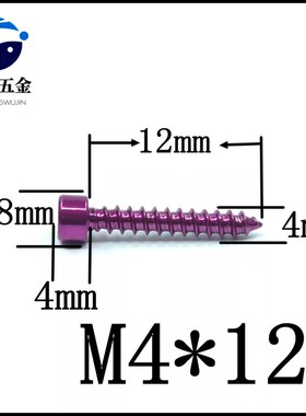 紫色304不锈钢圆柱头内六角自攻D螺丝喇叭固定螺丝杯头尖尾木螺钉
