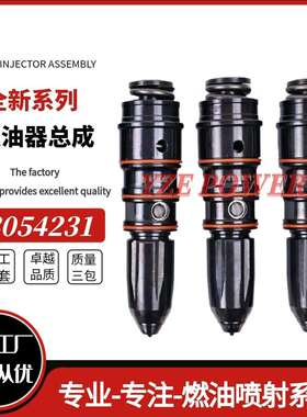 3054231 3054233 3054228 3054220 3047991喷油嘴PT泵共轨喷油器