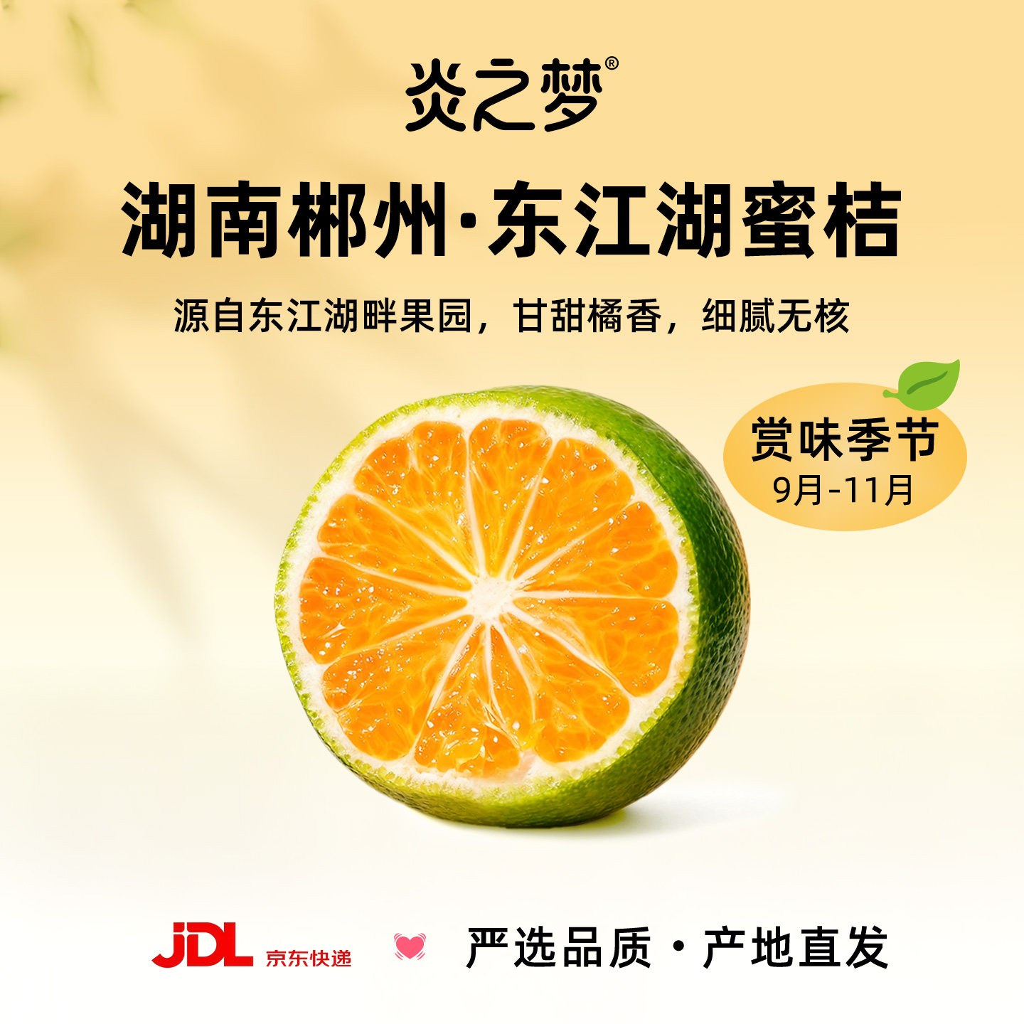 湖南东江湖蜜桔清江无籽蜜橘5斤