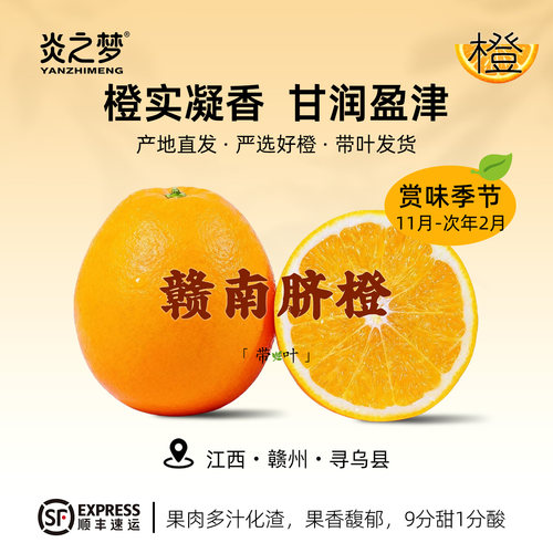 正宗江西赣南脐橙赣州产新鲜橙子